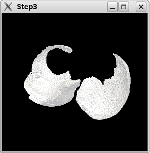 step3a_result.png