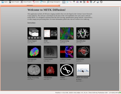 MITK Diffusion application